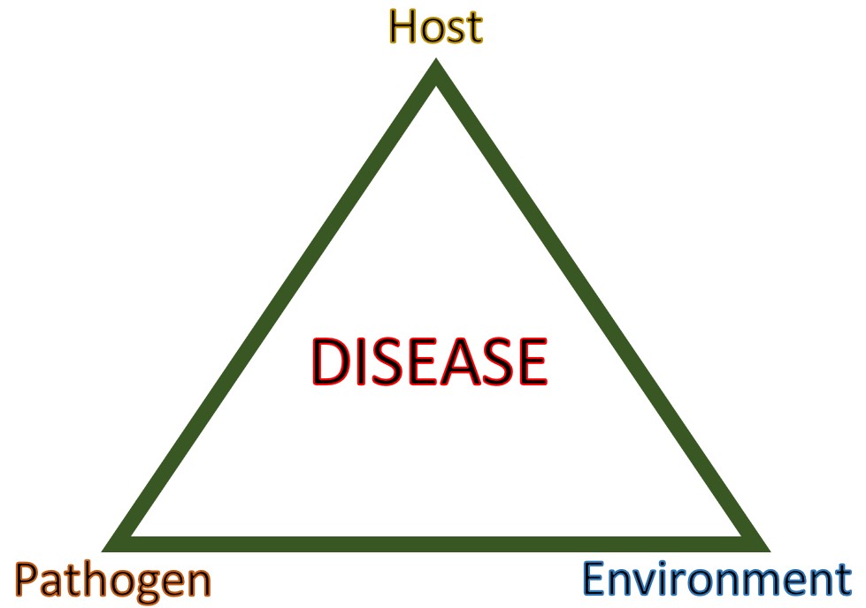 Disease Triangle.jpg